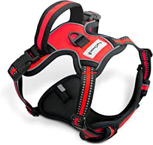 FurDreams Pettorina per Cani – Imbracatura Imbottita Sicura FurDreams