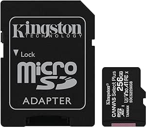 Kingston Canvas Select Plus SDCS2/256GB Scheda microSD Classe 10 con Adattatore SD Incluso, 256 GB