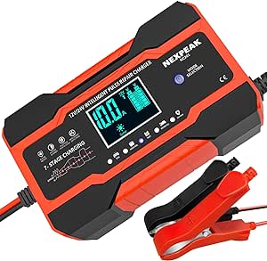 Caricabatteria per auto da 10 A NEXPEAK