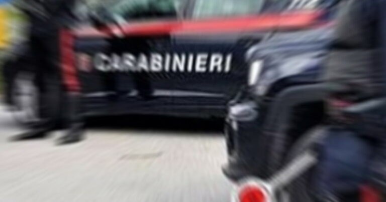 Carabinieri, comunicato: LPN-L’Aquila: serra di marijuana in un opificio, un arresto a Sulmona