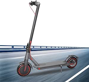 Monopattino Elettrico Adulto SHIZHUNIAO