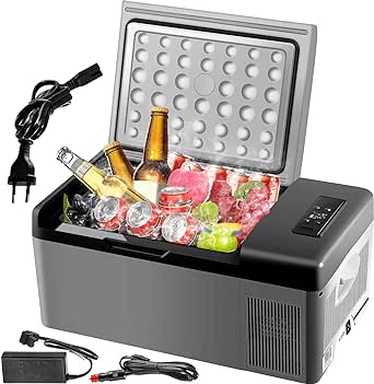 VEVOR Frigoriferi Auto per Viaggi Picnic VEVOR
