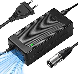 Honszex Caricabatterie da 42V 2A per Bici Elettrica